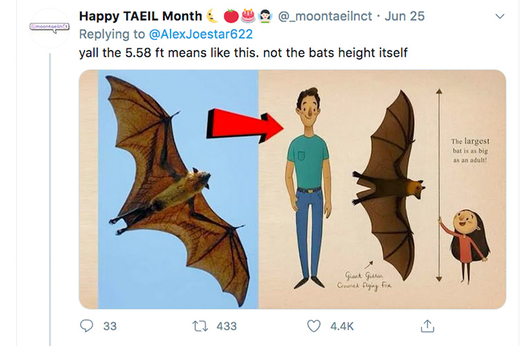Huge-bat