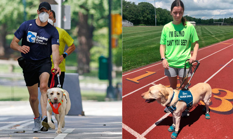 Guide dogs helping visually impaired runners stay fit