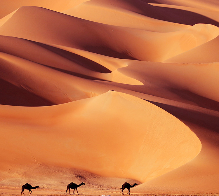 AbuDhabi-desert