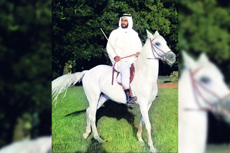 Sheikh-Zayed