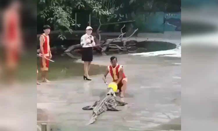 Croc-viral