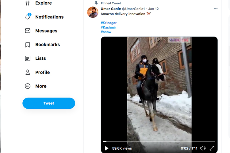 Kashmir-Horse
