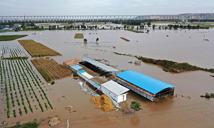 China-Flood-Oct12-main1-750