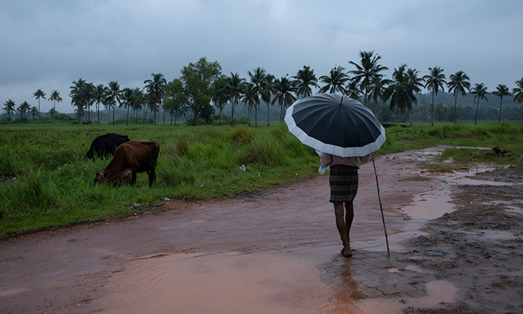 India-Rain-Oct17-main2-750