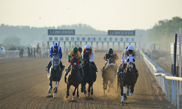 Horserace-Sharjah
