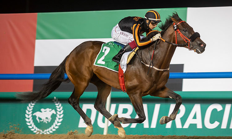 Horse-UAE