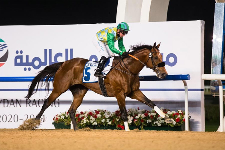 Horse-Dubai-750