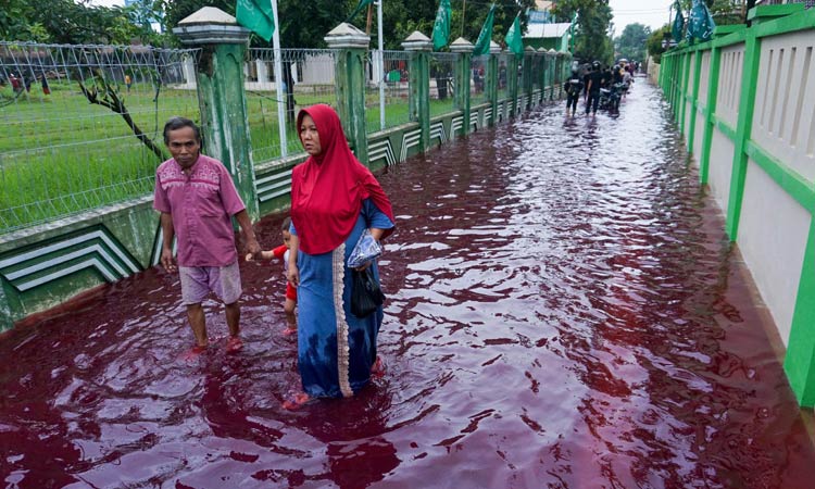 Floodred-Indonesia