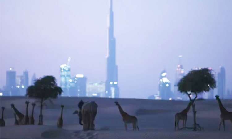 elephant-Dubai-2-750
