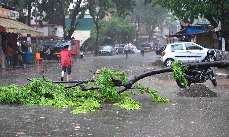 India-cyclone-May17-main2-750