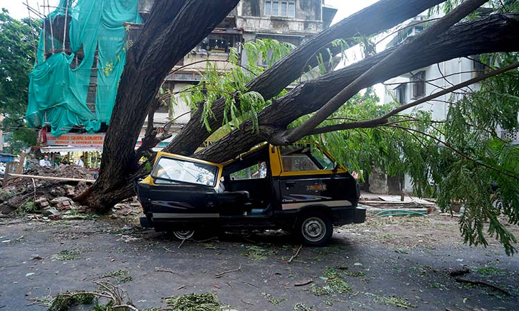 India-cyclone-May19-main3-750