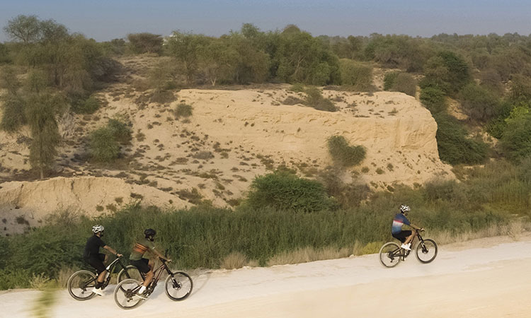sand-bike-track