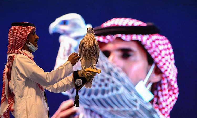 Falcon-Saudi
