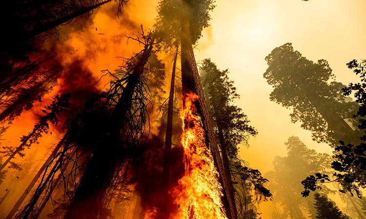 California-wildfire-main2-750