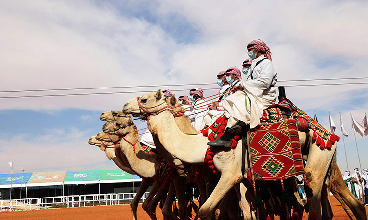  Women's camel beauty contest makes debut in Saudi	 Saudi-women-camels Rumah, Saudi Arabia, Jan 9, 2022 (AFP) - Saudi women, in a first for the conservative kingdom, have paraded their camels in a beauty pageant for the prized "ships of the desert". "I hope today to reach a certain social standing, inshallah (God willing)," said Lamia al-Rashidi, 27, who participated at the weekend contest in the Rumah desert northeast of the capital Riyadh. The event, part of the prestigious King Abdelaziz Festival, was previously a men-only affair. "I've been interested in camels ever since I was little," said Rashidi, whose family owns 40 camels. "Once this event was opened to women, I decided to participate," said the young woman, wearing a black face covering and with a colourful shawl over her shoulders. The top five in the field of about 40 participants in the women's event went home with total prize money of one million riyals (about $260,000). The camels' beauty is judged on several criteria, but the shape and size of the lips, neck and hump are the main attributes. In December, several participants were disqualified because their animals had undergone botox injections. In a parade at the event on the red sand track of Rumah, women in black on horseback rode ahead of men in white robes on camels as male musicians, some with swords, danced to the beat of drums. The oil-rich Gulf state adheres to a rigid interpretation of Islam, but since the rise to power of Crown Prince Mohammed bin Salman in 2017, some restrictions on women have been lifted as the country opens up with sweeping reforms. Saudi Arabia is seeking to diversify its economy away from oil, investing heavily in the tourism, entertainment and sports sectors. The shift has enabled women to get behind the wheel and take part in mixed-gender settings, even as a rigorous crackdown on dissent remains in place. "Women have always been an integral part of Bedouin society. They owned and looked after camels," said Mohammed al-Harbi, a manager of the festival. Women's participation was in keeping with "the historical heritage" of Saudi Arabia, he told AFP. Munira al-Mishkhas, another participant, chimed in: "Camels have been a part of us for a long time, but staging a contest for us (women) is a big step forward." At just seven years old, Malath bint Enad was the youngest contestant and her animal won third prize. Her proud father, a 35-year-old camel dealer who said he owns more than 200 beasts, was very pleased with the entrance of women. "This will increase enthusiasm for the festival and increase the value of the camels," said Enad bin Sultan, clad in traditional costume and red-and-white keffiyeh headdress. The 40-day festival, which kicked off last month, is an annual Bedouin event that lures breeders from across the Gulf with total prize money of up to $66 million. ht/aem/hc/hkb