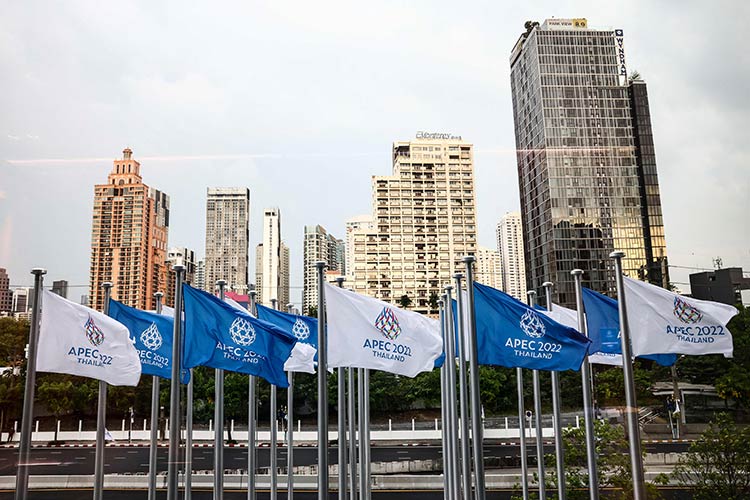 APEC-flags