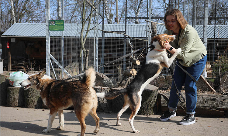 Dogs-lady-Ukraine