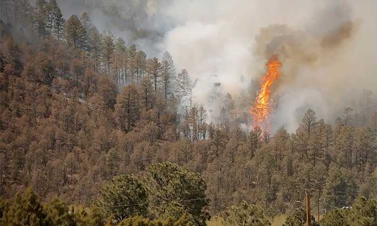 New-Mexico-wildfire-main2-750
