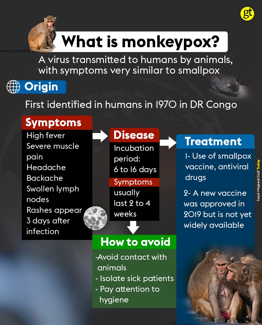Monkeypox-Illust