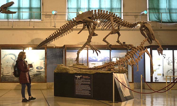 Argentina-dinosaur-May04-main1-750