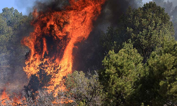 New-Mexico-wildfire-May5-main4-750
