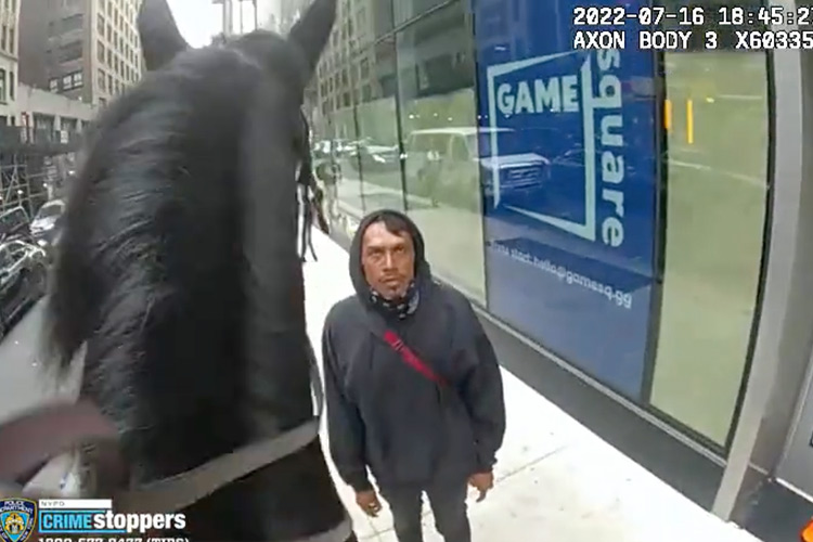 NY-Horse-Crime