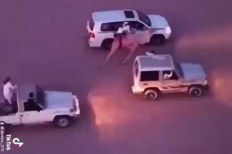 Saudi-Rescue