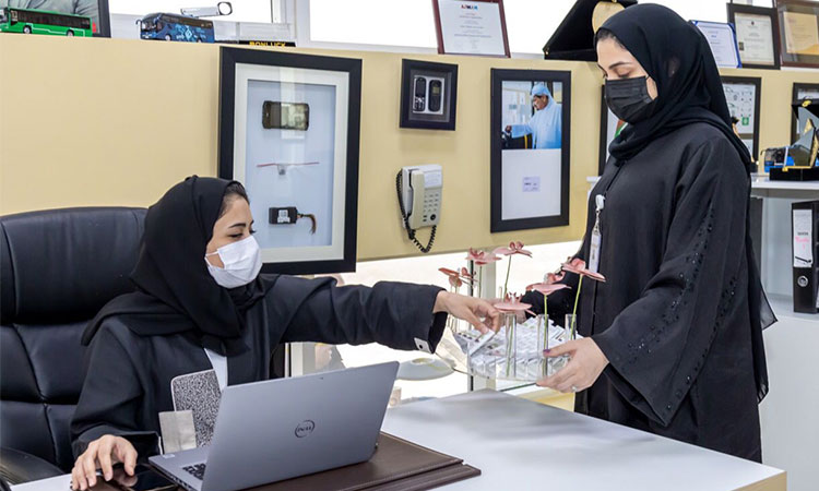 Emiratiwomen-work