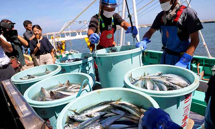 Fishery-workers-Japan-750