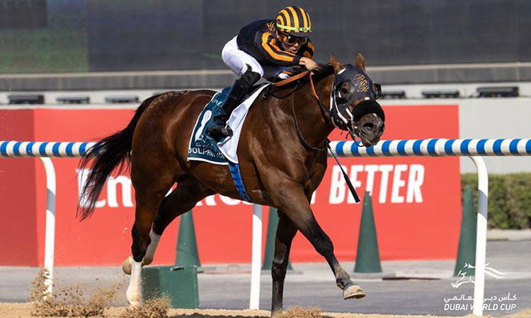 Horserace-DubaiCup