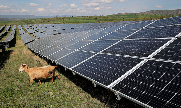 Solar-goat