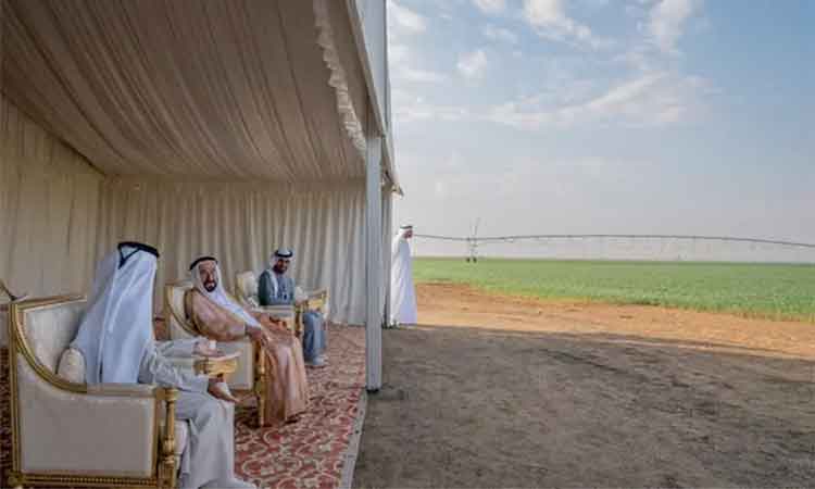 Sharjah-wheat-farm-main1-750