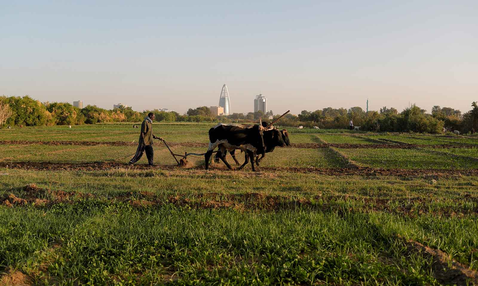 Sudan-farmers-July17-main1-1600