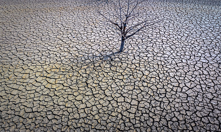 Drought-hottestyear-2023