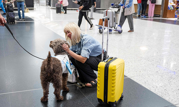 Dog-lover-IstanbulAirport