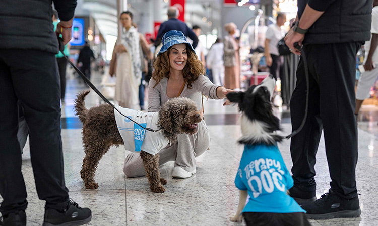 Dog-therapy-IstanbulAirport-2