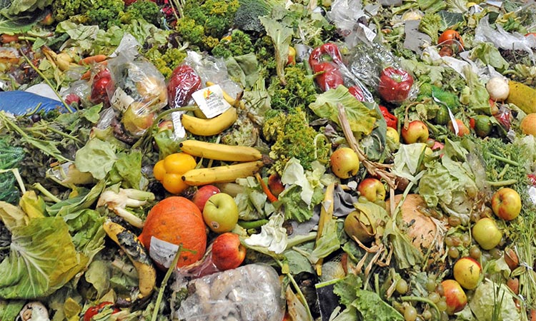 Global action needed to reduce food loss