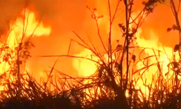 Fires in Amazon rainforest up more than 80% this year.