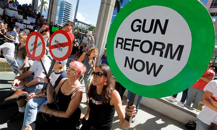Gun Reforms
