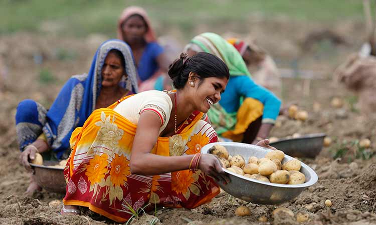Indian Women Farmers