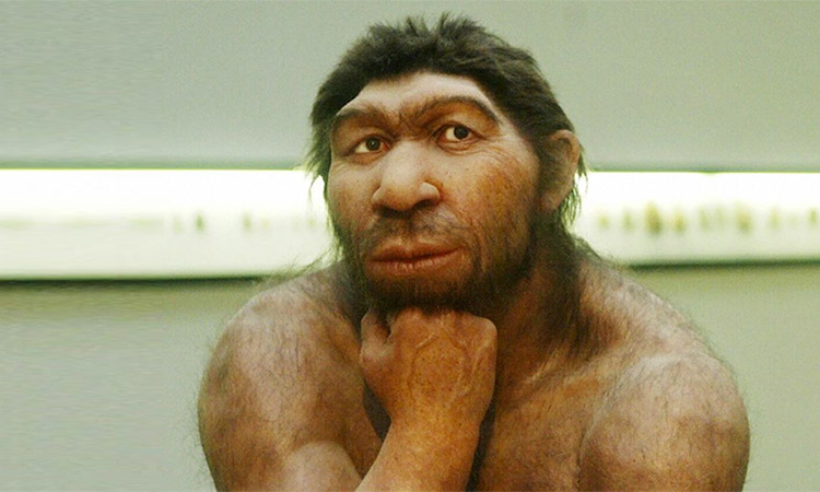 Neanderthal DNA lives on in the genes of many modern humans.