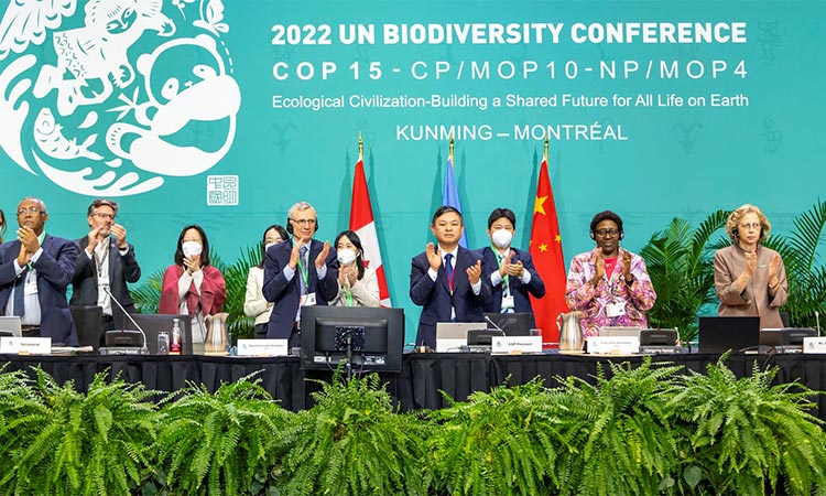 The leadership of the UN-backed COP15 biodiversity conference applaud after passing the The Kunming-Montreal Global Biodiversity Framework in Montreal, Quebec, Canada. Reuters