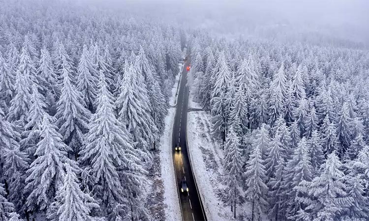 Snow-Clad trees stand chilled as cars drive through the forests of the Taunus region in Frankfurt, Germany. AP