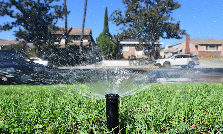 A sprinkler waters grass in Alhambra, California. Tribune News Service