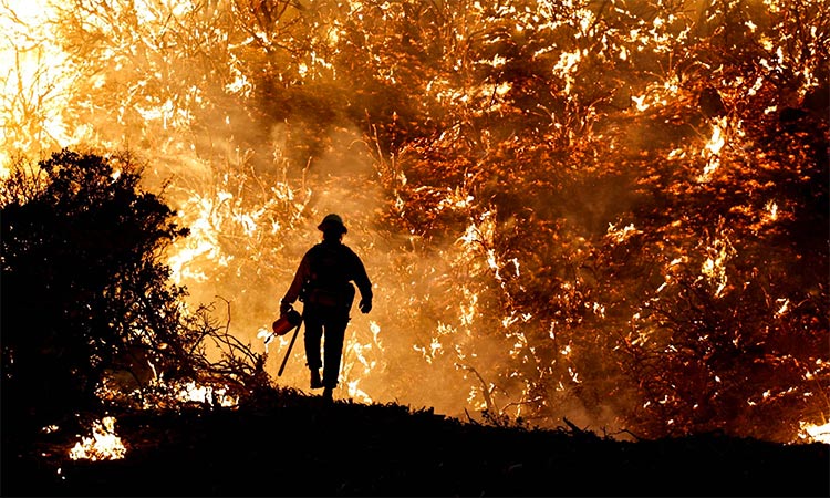 A firefighter works as the Caldor Fire burns in Grizzly Flats, California. Reuters