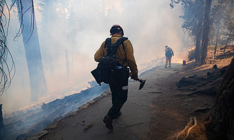 A wildland firefighter carries his gear through thick smoke during a prescribed burn to get rid of dead non-sequoia trees and fallen brush in the Giant Sequoia Forest near General Sherman  on July 8, 2019 in Sequoia National Park, California. (Gina Ferazzi/Los AngelesTimes/TNS)