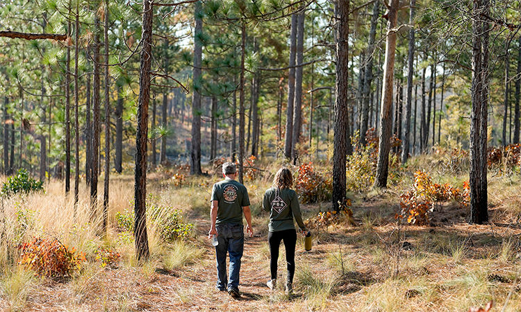 Courtney Steed and Jesse Wimberley walk on his property, in West End, NC. Grassroots forest burners are proving key to restoring a fire-loving ecosystem across the South.  Associated Press