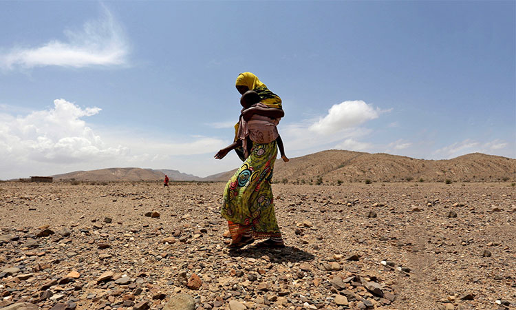 East Africa, and in particular, parts of Somalia, Djibouti, Ethiopia, and Kenya, are experiencing the driest conditions and hottest temperatures since satellite record-keeping began. 