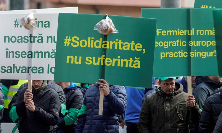 Romanian farmers holding a placard that reads "Solidarity, not suffering!" protest outside the European Commission's Offices over the price of grains and demand fallout from having an influx of cheap Ukrainian grains in Bucharest, Romania. Reuters