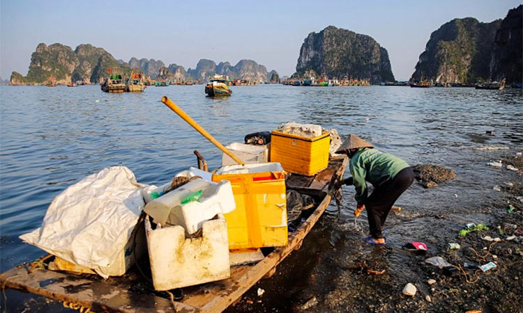 Ha Long Bay's popularity with tourists, and the rapid growth of nearby Ha Long City, have severely damaged its ecosystem. AFP